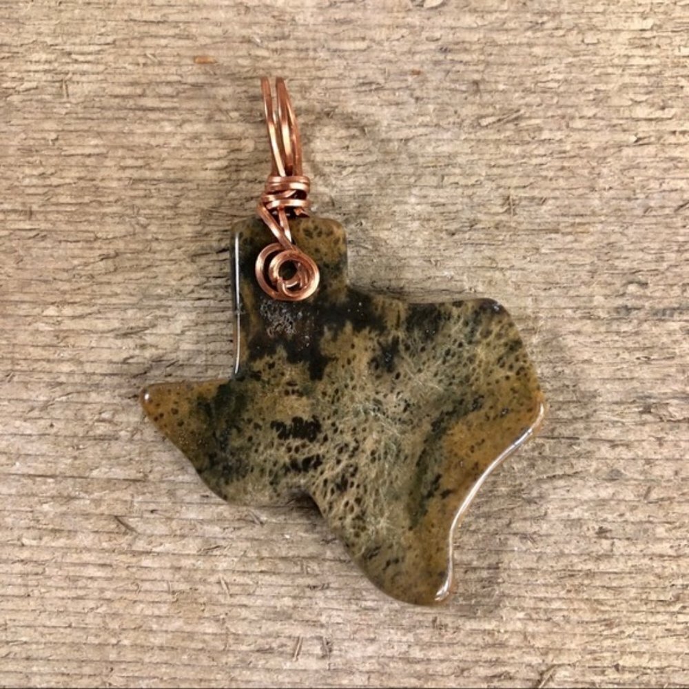 Petrified Wood Texas Necklace Pendant